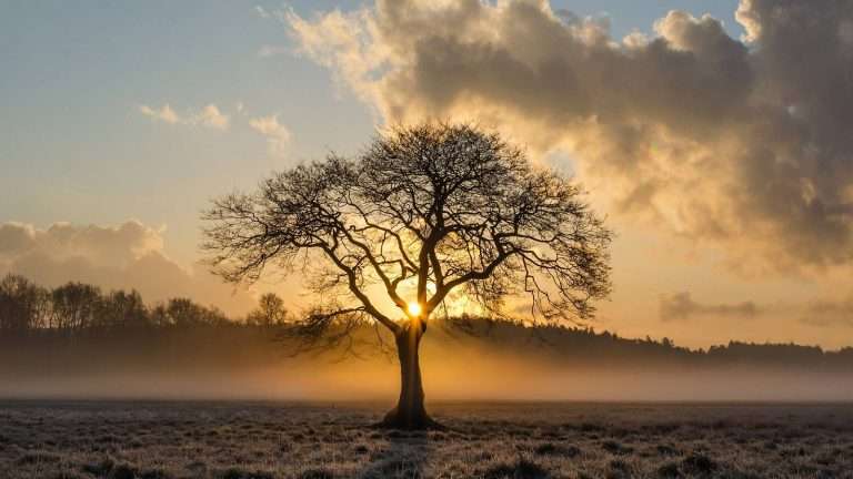 Let Patience Have Its Perfect Work to Be Better Versus Bitter (James 1:4)