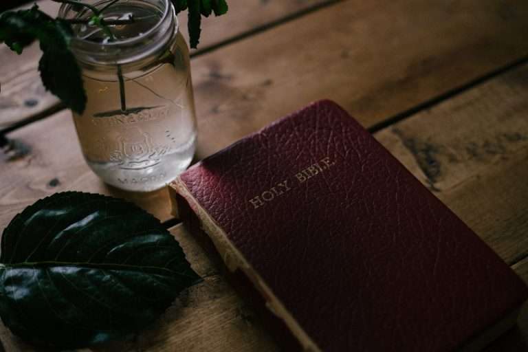 Israel's Holiness and the Ceremonial Commands in the Law