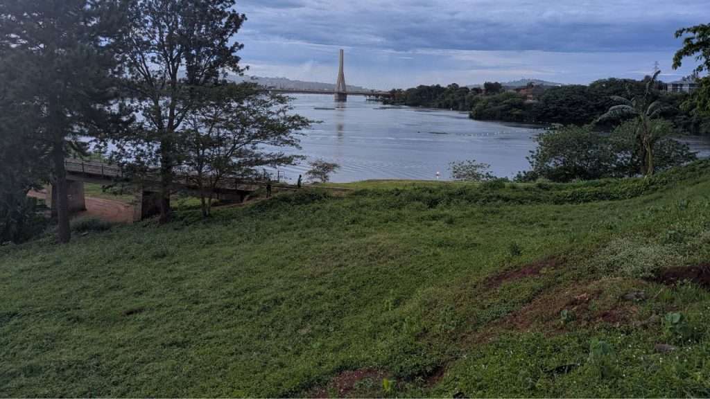 the lush green area around the Nile