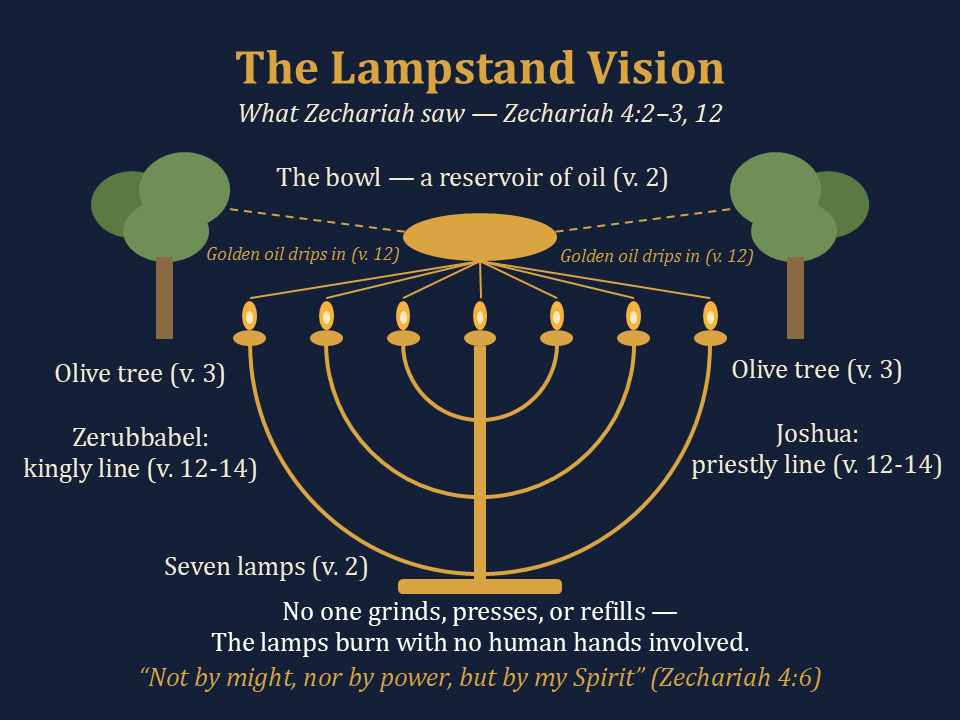 The Lampstand Vision (Zechariah 4:2–3, 12): oil flows from the olive trees to the bowl to the seven lamps—"Not by might, nor by power, but by my Spirit."